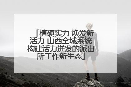 植硬实力 焕发新活力 山西全域系统构建活力迸发的派出所工作新生态